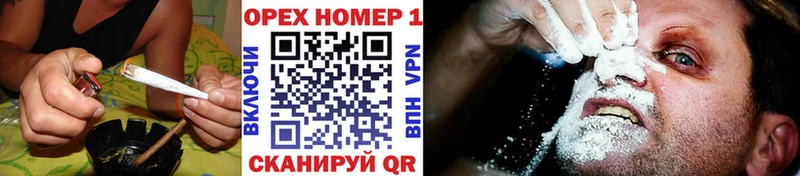 COCAIN FishScale  закладки  Райчихинск 