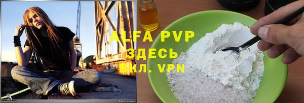 индика Нягань