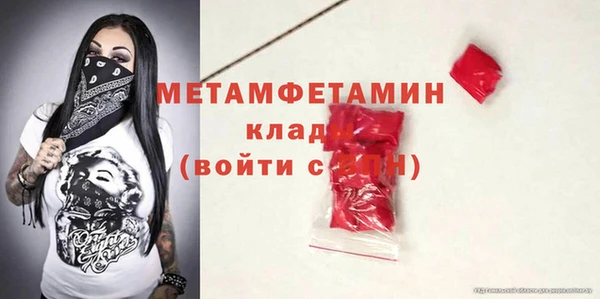 индика Нягань