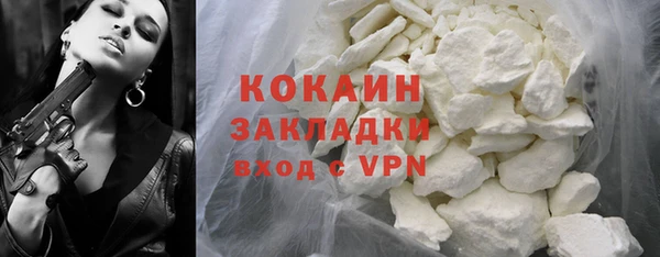 индика Нягань
