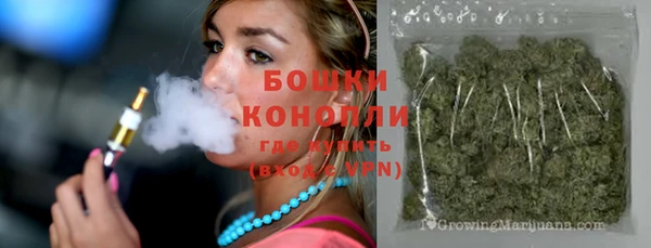 индика Нягань