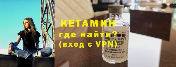 индика Нягань