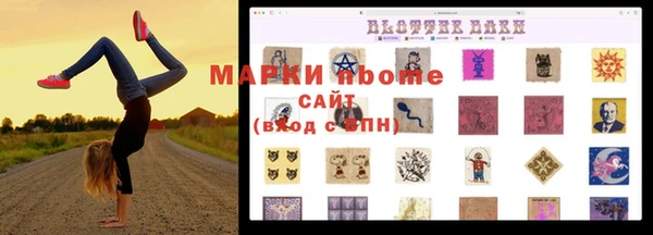 индика Нягань