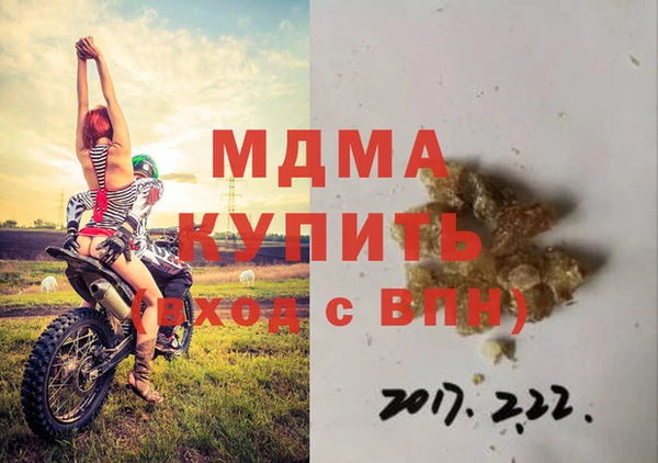 индика Нягань