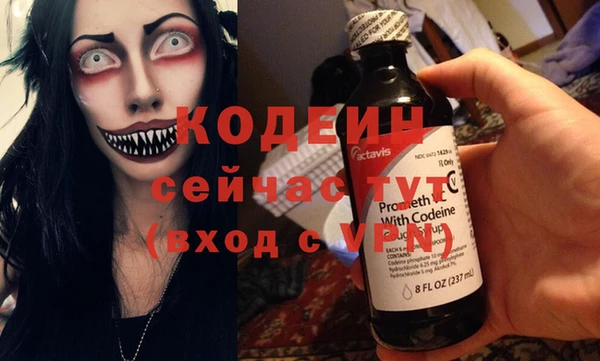 индика Нягань