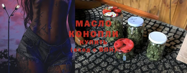 индика Нягань