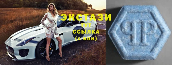 индика Нягань