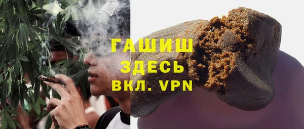 индика Нягань