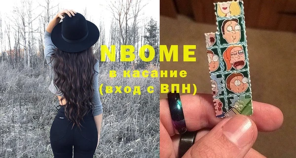 индика Нягань