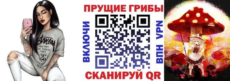 хочу наркоту  Райчихинск  Псилоцибиновые грибы MAGIC MUSHROOMS 